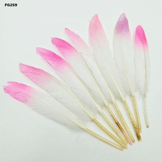 Gift To Love | Feather Shaded Glittered | Pcs : 10 Pcs | Code : FG2S9