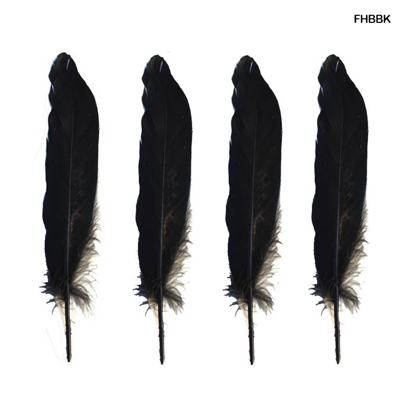 Gift To Love | Feather Hard Big | Color : Black | Pcs : 10 Pcs | Code : FHBBK