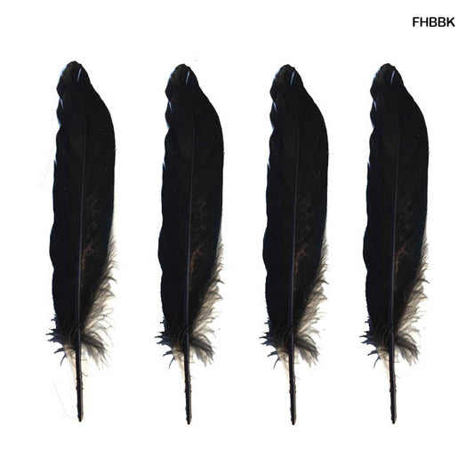 Gift To Love | Feather Hard Big | Color : Black | Pcs : 10 Pcs | Code : FHBBK