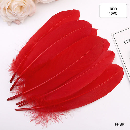 Gift To Love | Feather Hard Big | Color : Red | Pcs : 10 Pcs | Code : FHBR