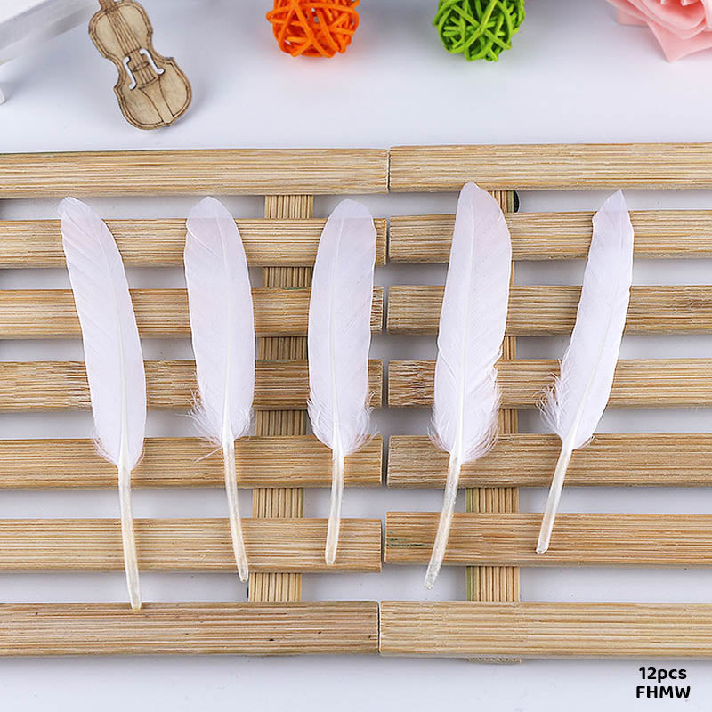 Gift To Love | Feather Hard Small | Color : White | Pcs : 12 Pcs | Code : FHMW