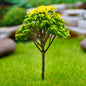 Gift To Love | Artificial Miniature Green & Yellow Tree 1pc | Code : FU-120GYW