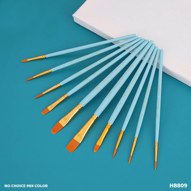 HB809 10PC PAINT BRUSH - GIFT TO LOVE