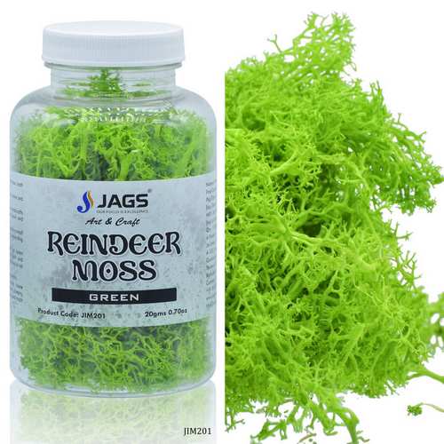 Gift To Love | Jags Reindeer Moss 20 Grms Green | Code : JIM201