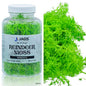 Gift To Love | Jags Reindeer Moss 20 Grms Green | Code : JIM201