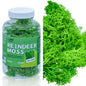 Gift To Love | Jags Reindeer Moss 20 Grms Ligth Greeen | Code : JIM202