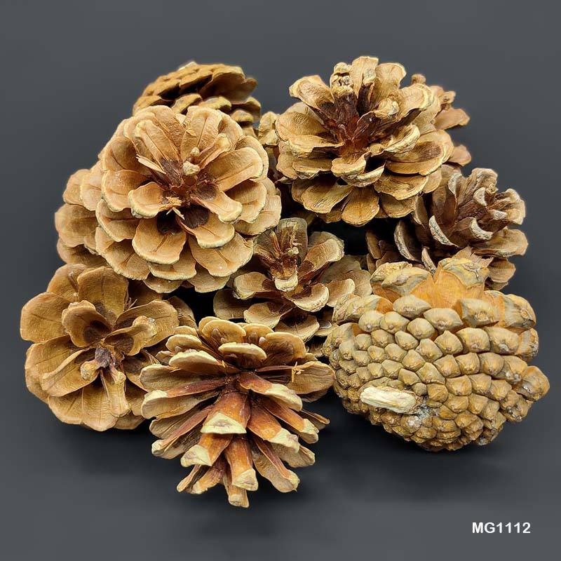 Gift To Love | Wood Flower Pine Cone | Code : MG1112
