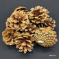 Gift To Love | Wood Flower Pine Cone | Code : MG1112