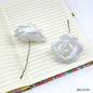 Gift To Love | Rose Flower | Color : White | Pcs : 30 Pcs | Code : MG234W