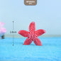 Gift To Love | Miniature Model Starfish | Pcs : 5 Pcs | Code : MTR505A
