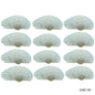 Gift To Love | Shells Kakinada Chippi | Size : 100 Gm | Code : SAKC-08