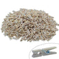 Gift To Love | Wooden Clip Natural 1000Pcs Small 3CM | Code : WCN102