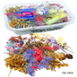 Gift To Love | Dried Flower Box | Code : YW-1BOX