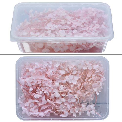 Gift To Love | Dried Flower Box 10Gsm Pitch | Code : YW10GM-PH
